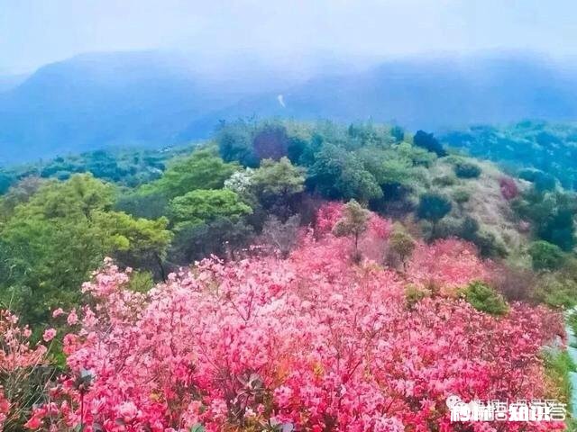 一个人在深圳，不回老家过年是什么感觉