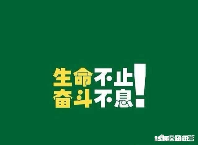 一个人在深圳，不回老家过年是什么感觉
