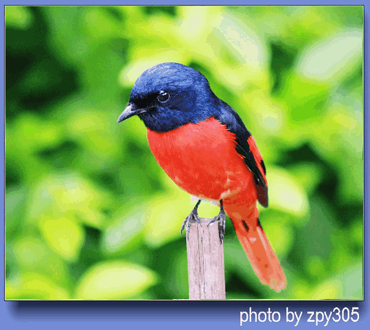 你认为今日头条在春节前，举办这次“提问“答题、有奖活动的重大意义是什么