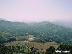 学生为什么不尊重教师