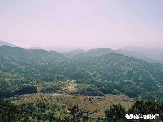 学生为什么不尊重教师