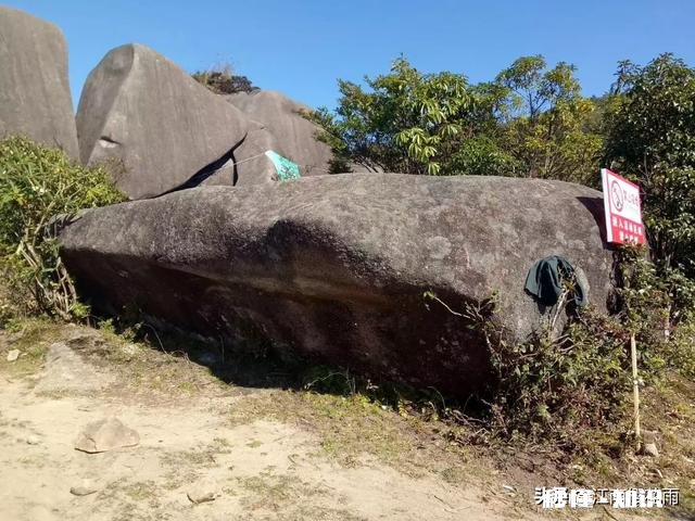 学生为什么不尊重教师