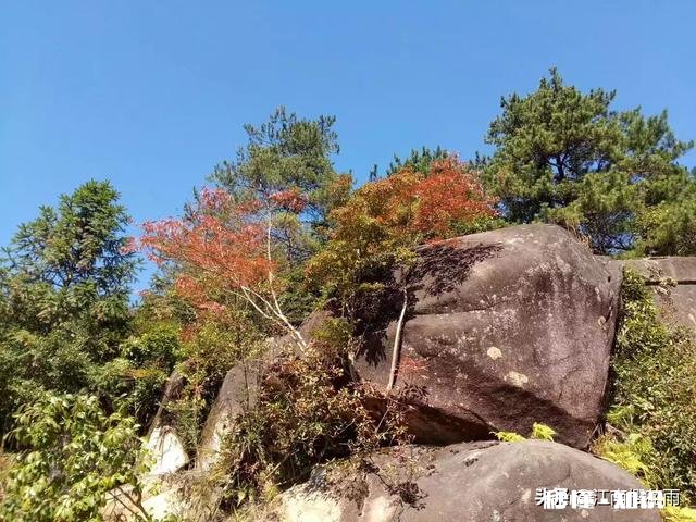 学生为什么不尊重教师