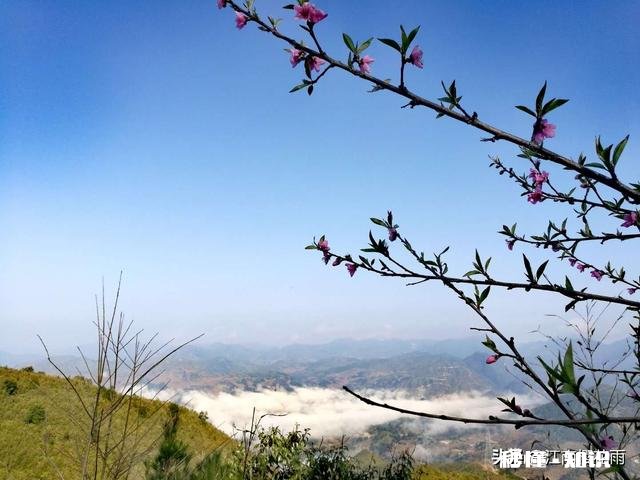 学生为什么不尊重教师