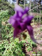 做父母的能过问子女的具体工资吗