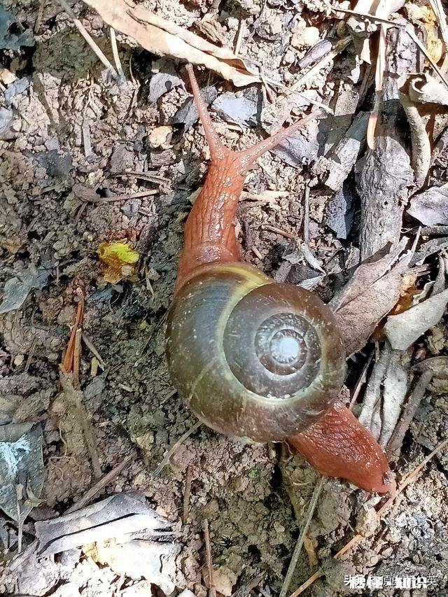做父母的能过问子女的具体工资吗