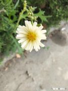 人都有阴暗面和虚伪的一面吗