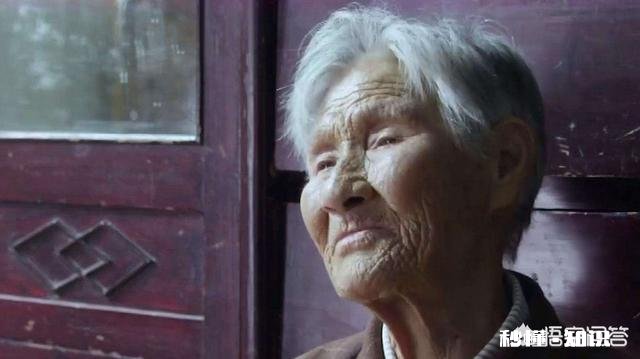 怎么看少数慰安妇的家属“讹上”了电影《二十四》的导演