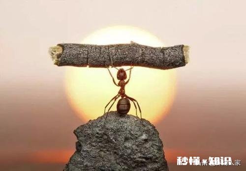 今年你觉得日子更难过了吗为何