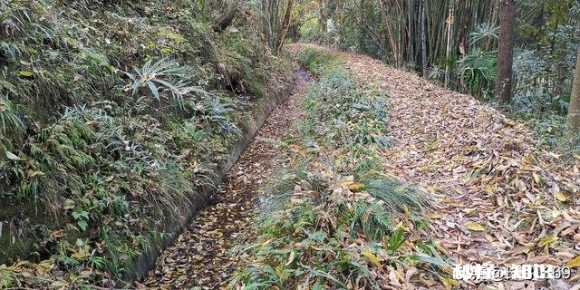 我国再搞一次大规模的农田水利基本建设，如何