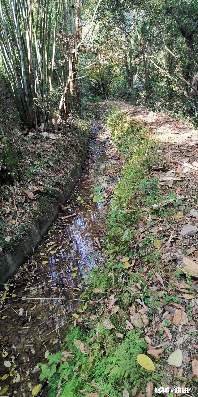 我国再搞一次大规模的农田水利基本建设，如何