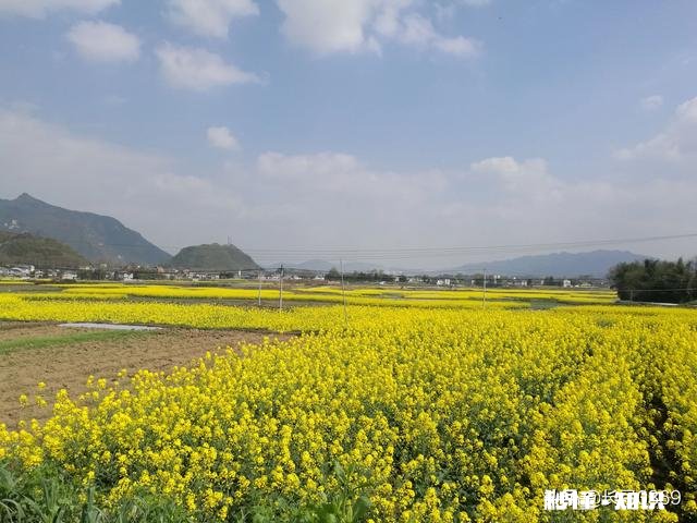 我国再搞一次大规模的农田水利基本建设，如何