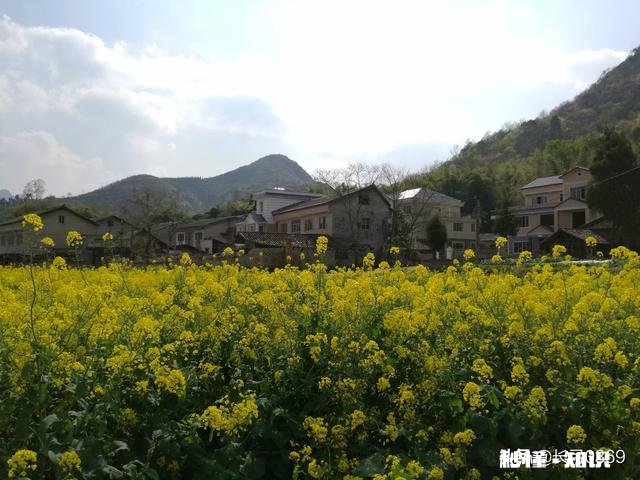 我国再搞一次大规模的农田水利基本建设，如何