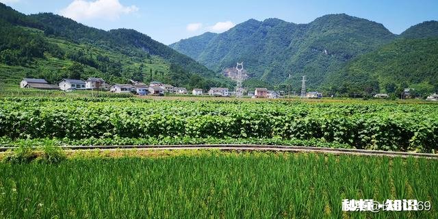 我国再搞一次大规模的农田水利基本建设，如何