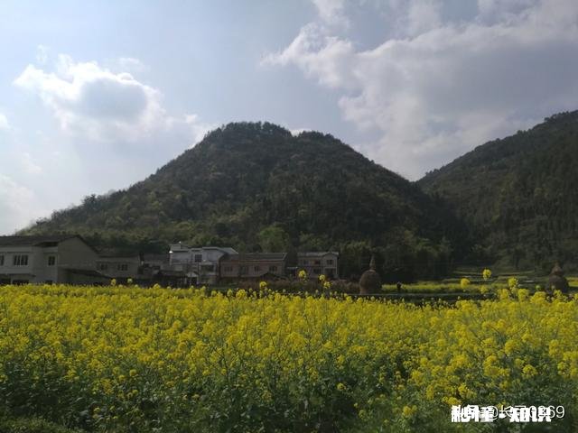 我国再搞一次大规模的农田水利基本建设，如何