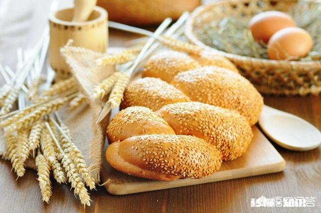 看吃播吃东西可以缓解饥饿吗