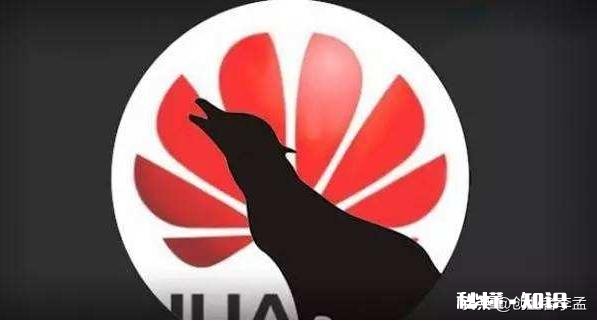 你支持华为，并购买华为产品的原因是什么