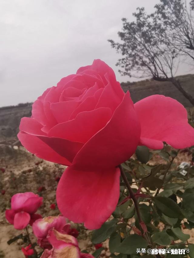 如何应对砍价顾客?请大家帮我出出主意