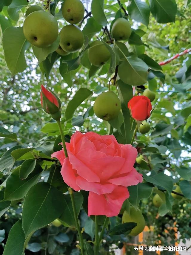 如何应对砍价顾客?请大家帮我出出主意