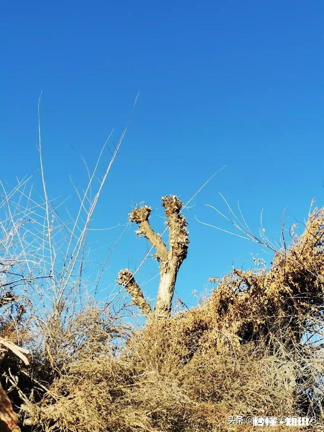 如何应对砍价顾客?请大家帮我出出主意