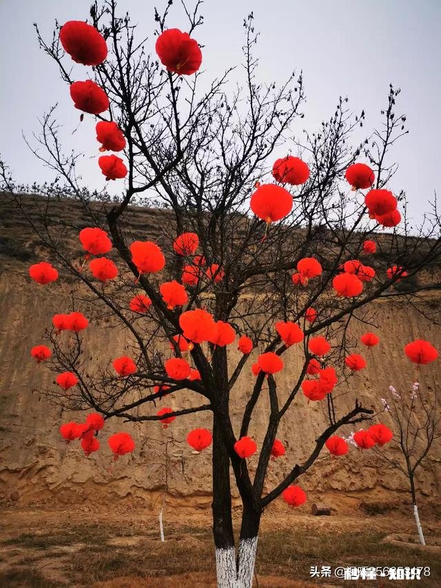 如何应对砍价顾客?请大家帮我出出主意