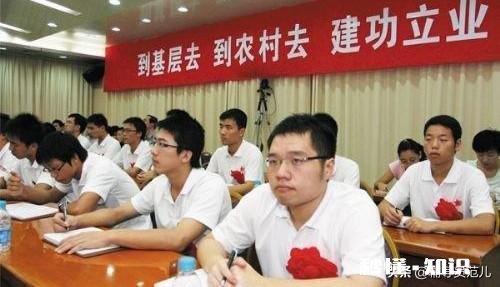 南方某985本科大四，考湖北定向选调还是深圳公务员