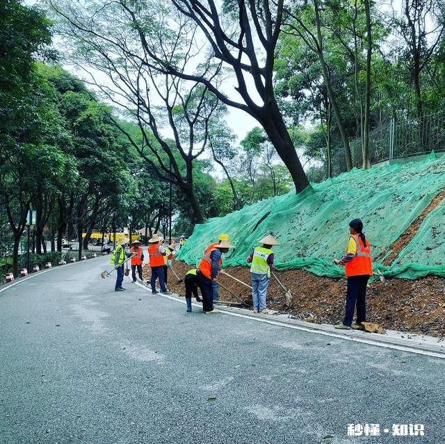 现在这个时代，50多岁的人至60岁的人现在还能干什么