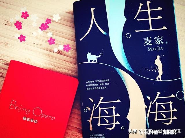 《人生海海》讲的什么