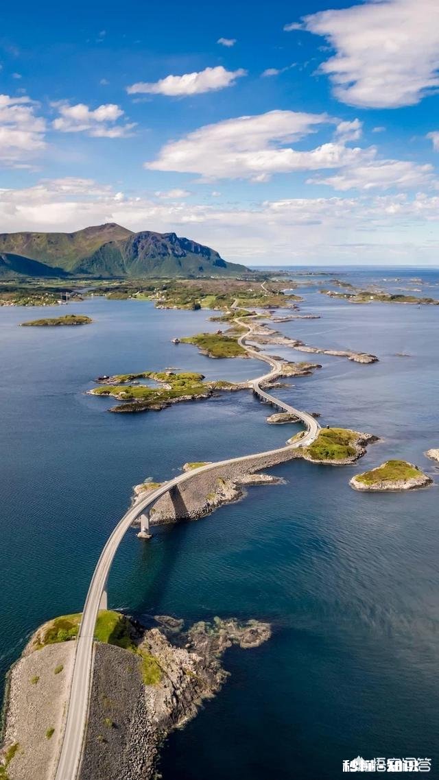 哈佛硕士去中学当老师，是浪费人才吗