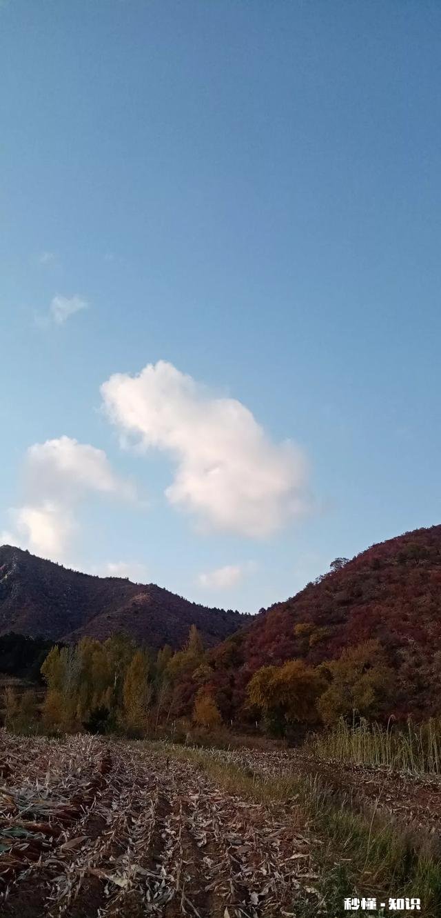 民间谚语:“猴年马月”，是多长时间你怎么理解