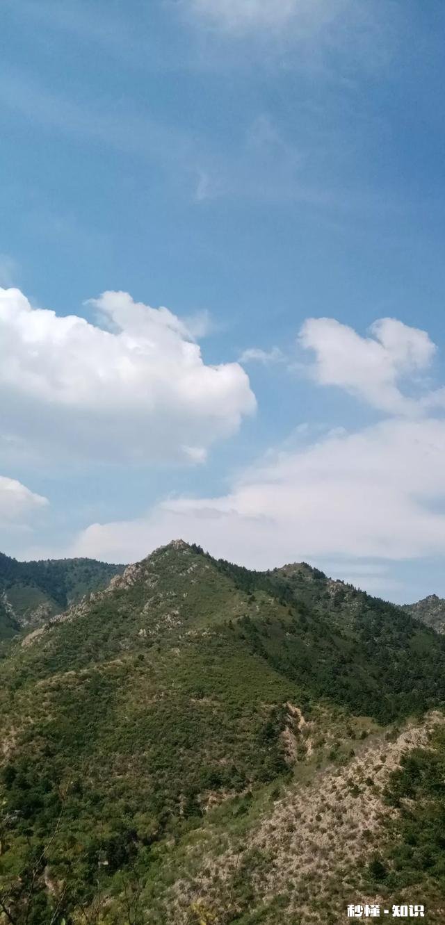 民间谚语:“猴年马月”，是多长时间你怎么理解