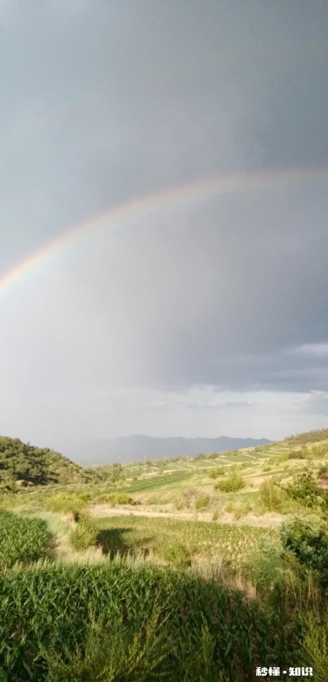 民间谚语:“猴年马月”，是多长时间你怎么理解