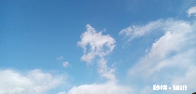 民间谚语:“猴年马月”，是多长时间你怎么理解