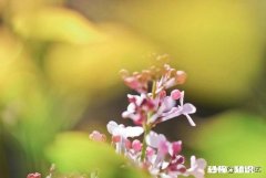 我2020年前4个月多缴的个税能退吗