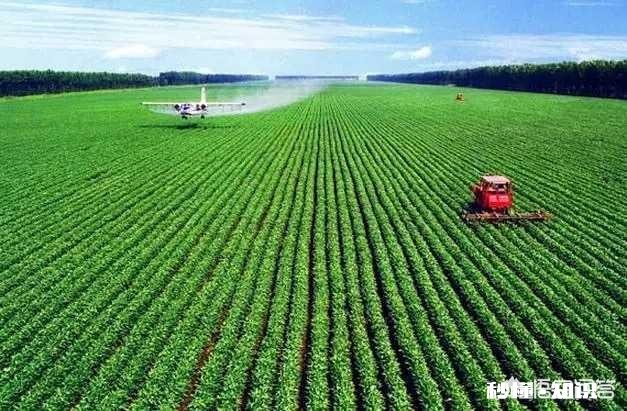 有人说规模化种植农业有钱赚，为什么有的人不采取这种方式呢