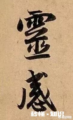 当一个人对这个世界没有任何欲望时，除了出家还能怎么办