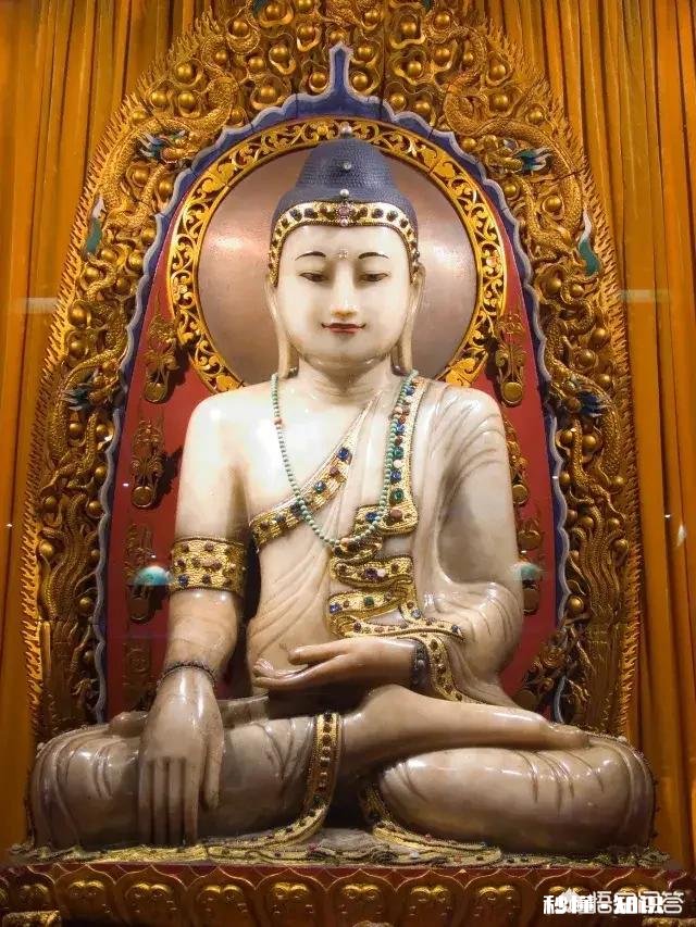 当一个人对这个世界没有任何欲望时，除了出家还能怎么办