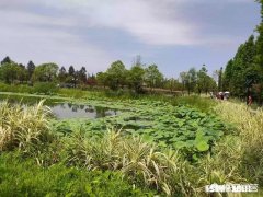 漂亮和好看去形容女人意思是一样的吗