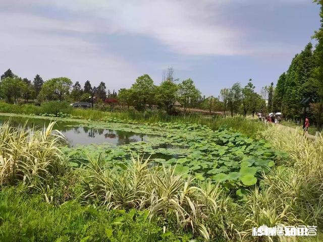 漂亮和好看去形容女人意思是一样的吗