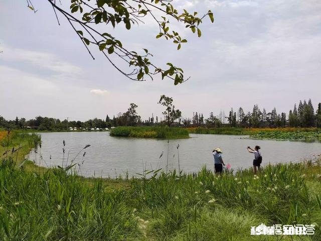 漂亮和好看去形容女人意思是一样的吗