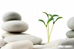 活着到底是为了什么你怎么看