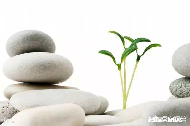 活着到底是为了什么你怎么看