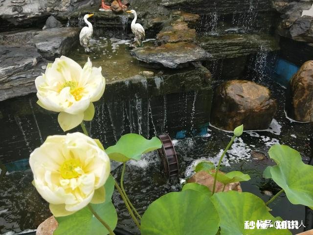 今日头条兴趣认证了好几次，有什么好办法吗