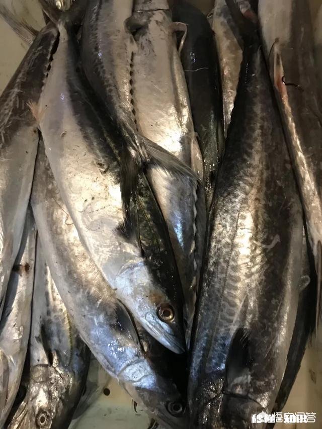 伏季休渔开始，南宁海鲜开启涨价模式，野生虾蟹普涨约3成，你怎么看