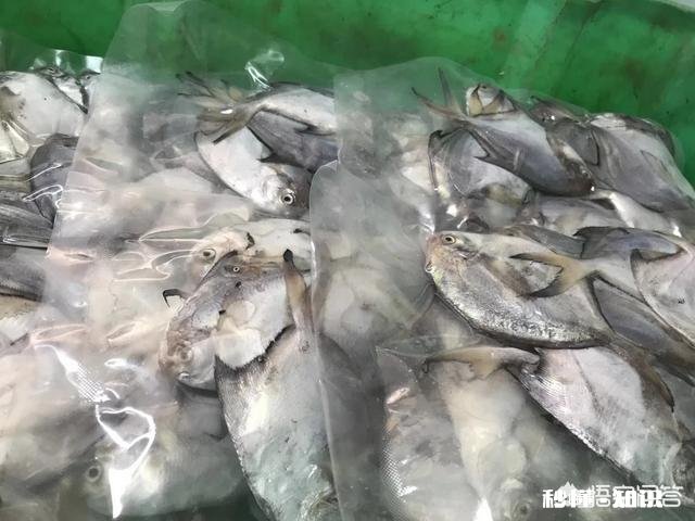 伏季休渔开始，南宁海鲜开启涨价模式，野生虾蟹普涨约3成，你怎么看