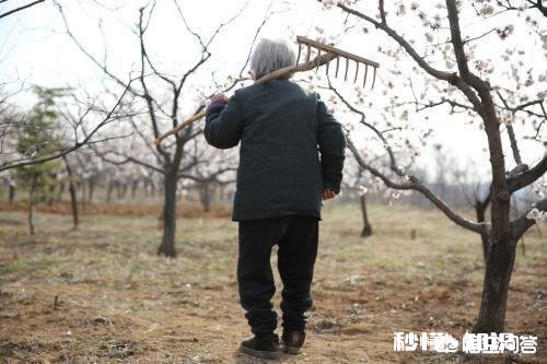 痛过之后的心就一定冷漠吗