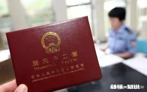 户口本上的户主有什么作用