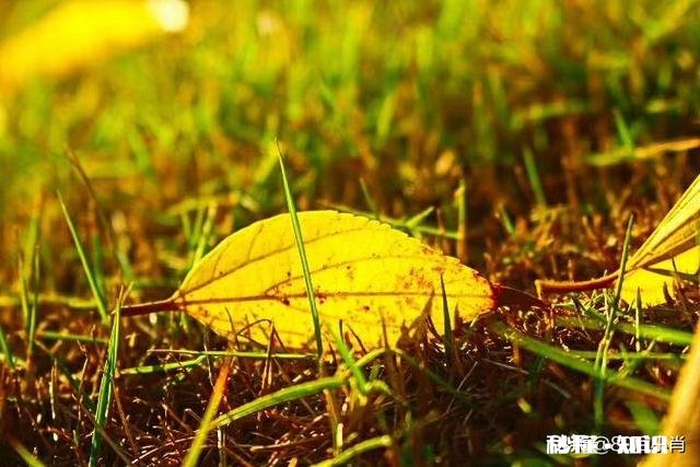 对于没有捐款的个人和企业，公布公开人家的信息，名字，是不是违法侵权行为