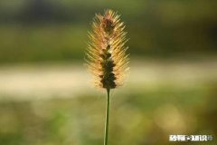 对于没有捐款的个人和企业，公布公开人家的信息，名字，是不是违法侵权行为