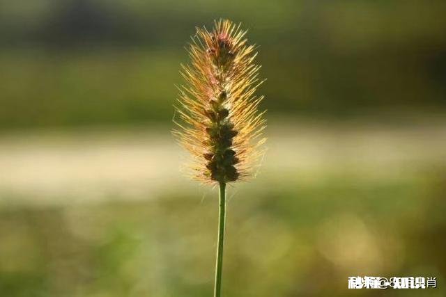 对于没有捐款的个人和企业，公布公开人家的信息，名字，是不是违法侵权行为